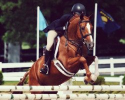 dressage horse Donnerhall (German Riding Pony, 2005, from Donnertraum 2)