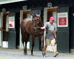 horse La Kara Mia xx (Thoroughbred, 2017, from Medaglia d'Oro xx)