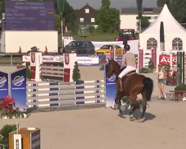 Reitertage Hagau 2015
