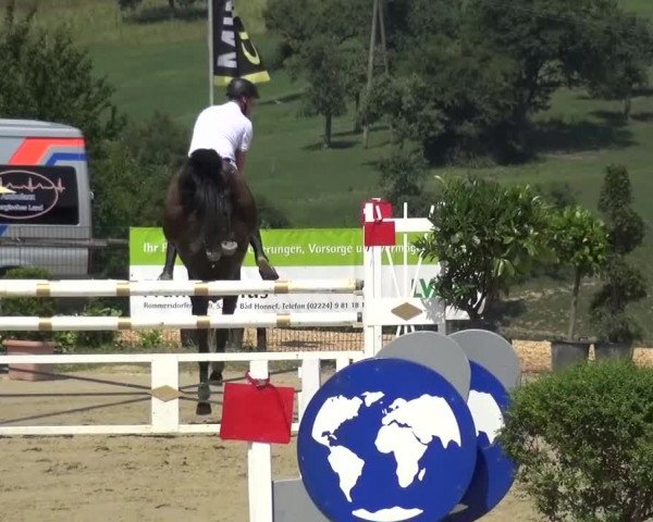 Reitturnier Lindlar-Süttenbach 2015