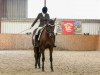 dressage horse Valerie's First Lady (Oldenburg, 2010, from Lorenzio 2)