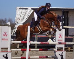 jumper Flipper (KWPN (Royal Dutch Sporthorse), 2010, from Tangelo van de Zuuthoeve)