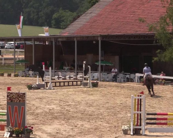 Reitturnier Letmathe 2015