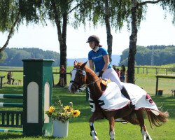 jumper Miss Peppermint Betty (Austrian Warmblood, 1998, from Rosario)