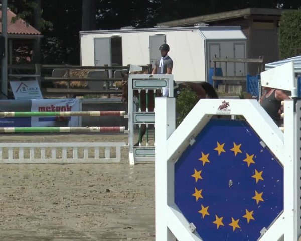 Reitturnier Melle-Ostenfelde 2015