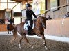 dressage horse Tejke (Nederlands Welsh Ridepony, 2012)