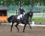 dressage horse Soraya (Oldenburg, 2008, from Swarovski)