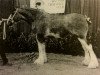 broodmare Millie-Annie Myr Vang (Clydesdale, 2000, from Hatfield Hochtaler)