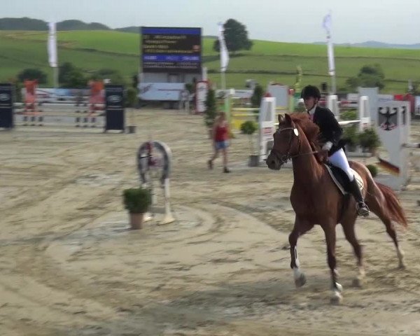 Reitturnier Lindlar-Süttenbach 2015