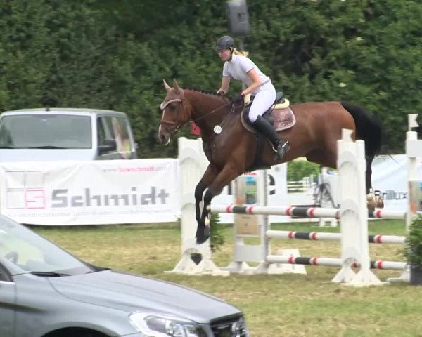Großer Preis von Isernhagen 2015