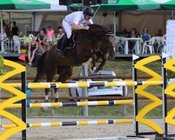 jumper Scarlett 598 (Hanoverian, 2006, from Stolzenberg)