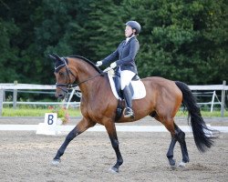 dressage horse Flint 2 (Westphalian, 2003, from Fiano)