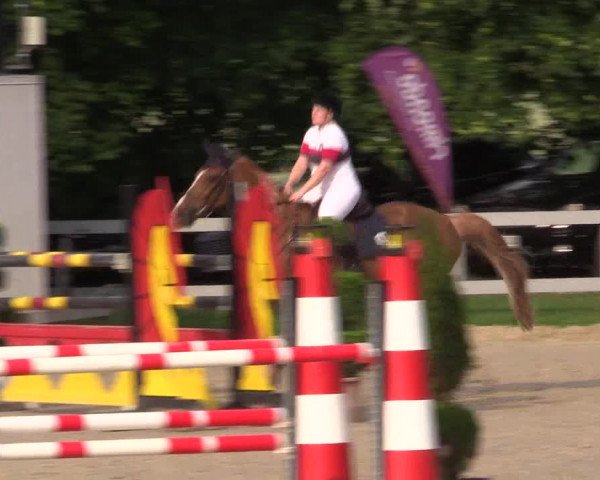 Reitturnier Kalenborn Hegehof 2015