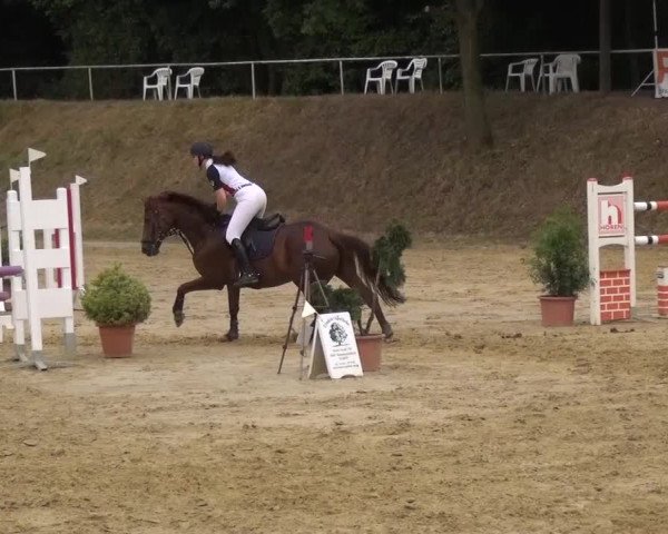 Reitturnier Viersen-Dülken 2015