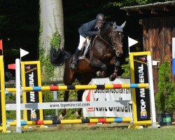 stallion Abild (unknown,  )