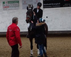 dressage horse Santos JB (Westphalian, 2010, from Scolari)