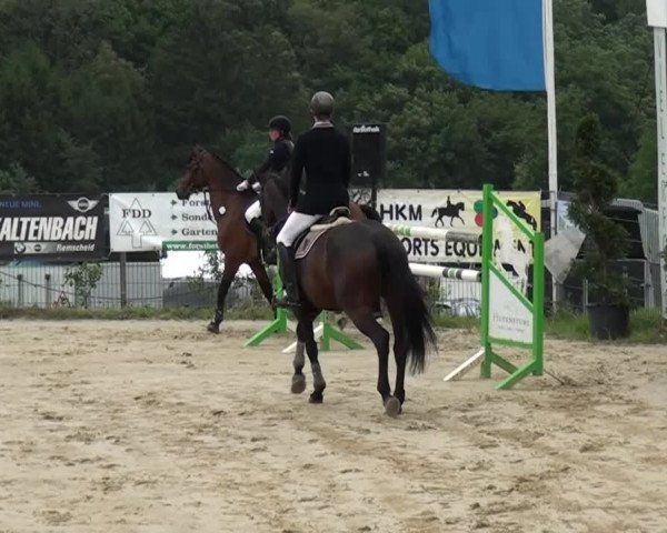 Reitturnier Lindlar-Süttenbach 2015