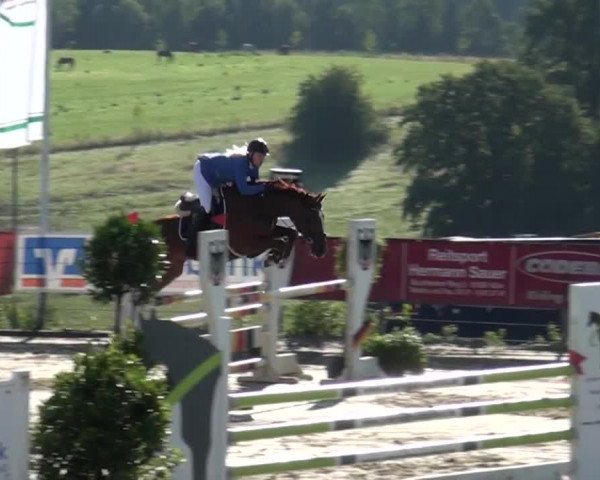 Reitturnier Lindlar-Süttenbach 2015