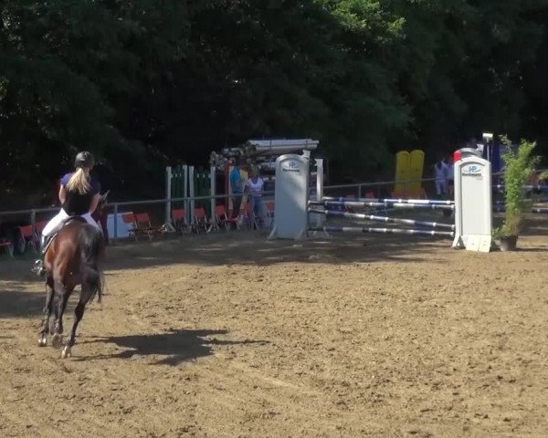 Reitturnier Grefrath - Reitanlage Heitzerend 2015