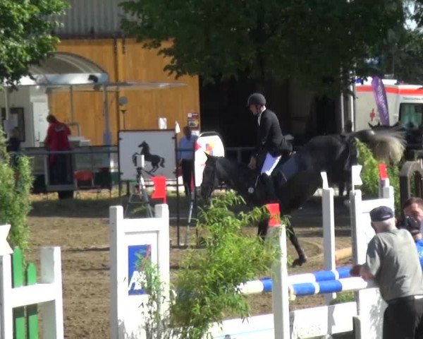 Reitturnier Grefrath - Reitanlage Heitzerend 2015