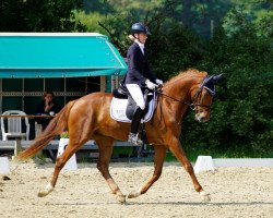 dressage horse Carmichael (Westphalian, 2014, from Cennin)