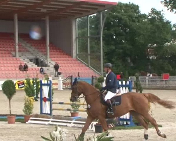 Reitturnier Redefin 2015