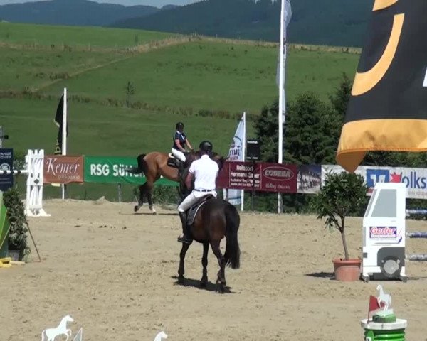 Reitturnier Lindlar-Süttenbach 2015