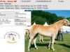 broodmare Ginea BE (Haflinger, 2007, from Antinor)