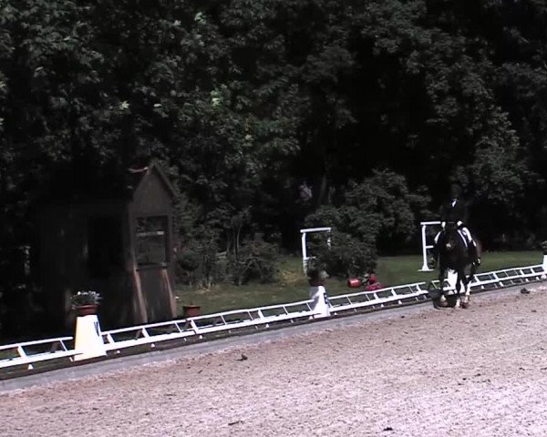 Reitturnier Redefin 2015