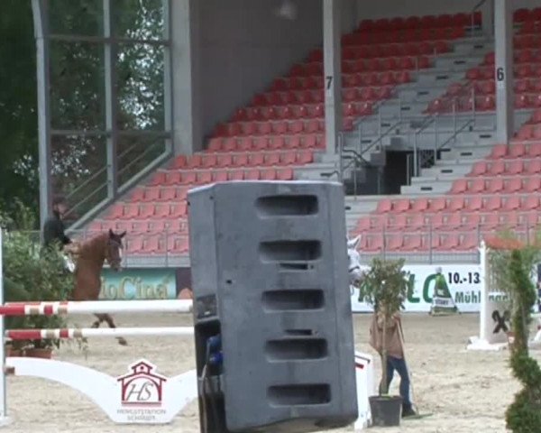 Reitturnier Redefin 2015