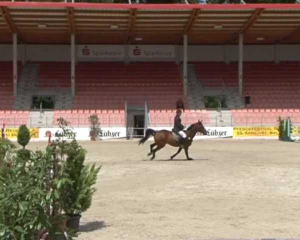 Reitturnier Redefin 2015
