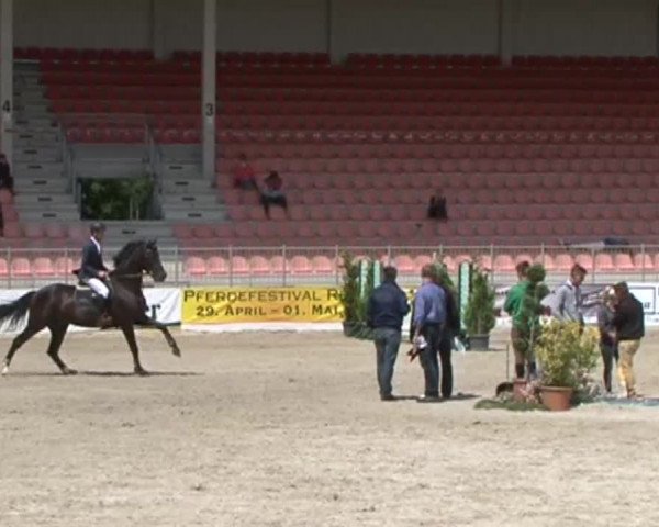 Reitturnier Redefin 2015