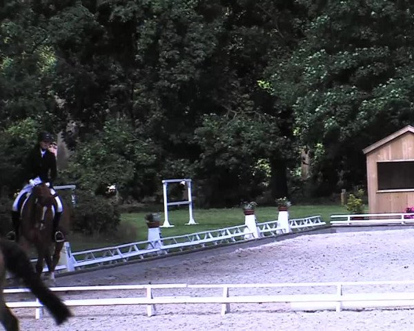 Reitturnier Redefin 2015