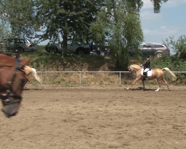 Reitturnier Grefrath - Reitanlage Heitzerend 2015