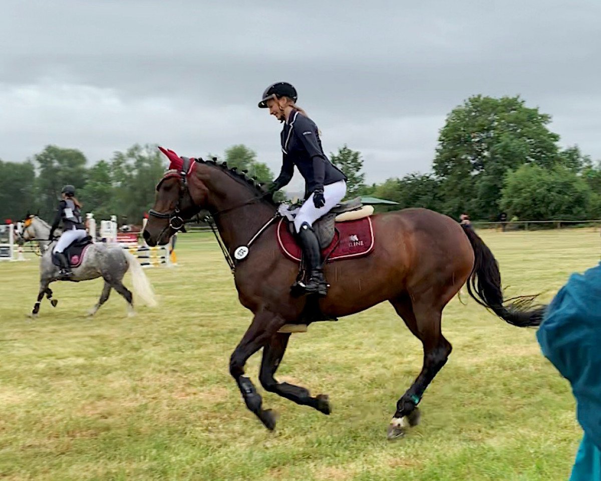 broodmare Ellie 12 (Hanoverian, 2006, from El Bundy)
