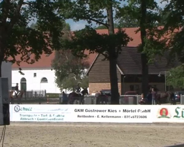 Reitturnier Redefin 2015