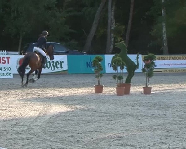 Reitturnier Redefin 2015
