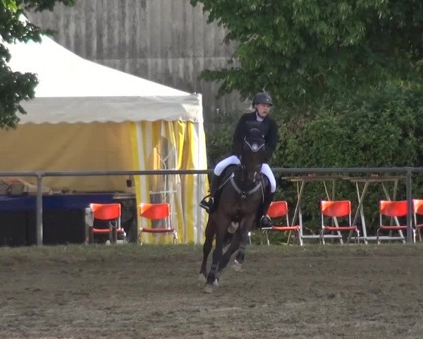 Reitturnier Grefrath - Reitanlage Heitzerend 2015