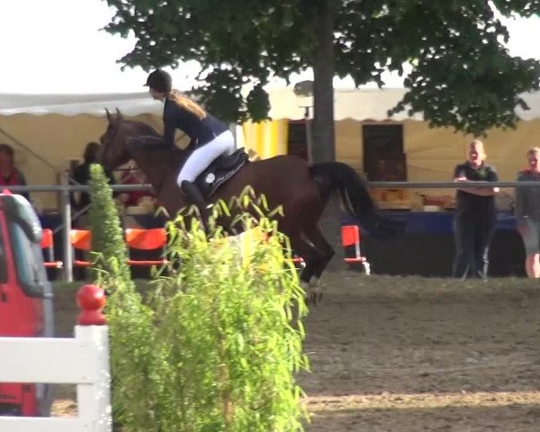 Reitturnier Grefrath - Reitanlage Heitzerend 2015