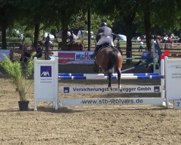 Reitturnier Grefrath - Reitanlage Heitzerend 2015