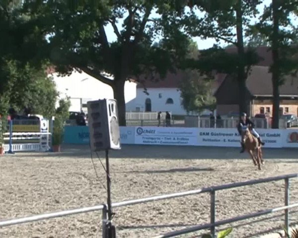Reitturnier Redefin 2015