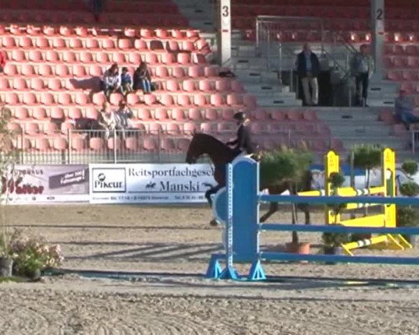 Reitturnier Redefin 2015