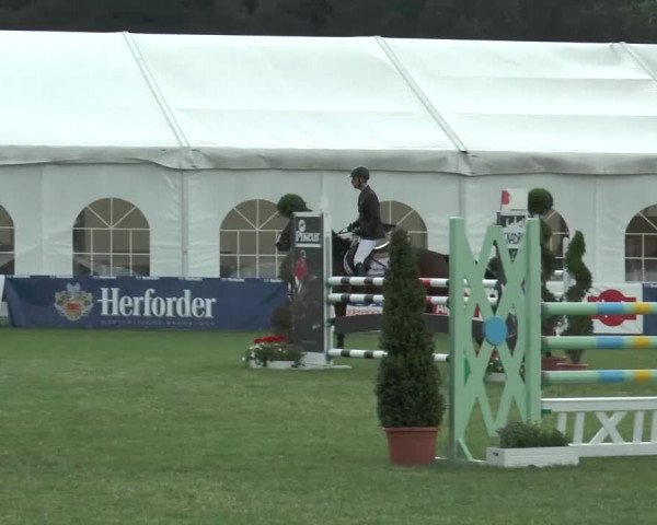 FEI Reitturnier Steinhagen (GER) 2015