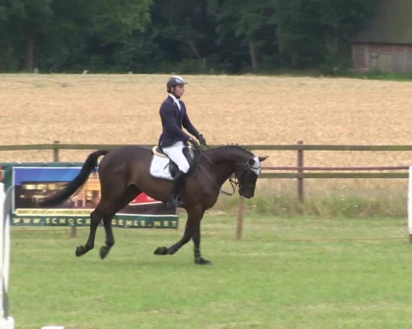 Reitturnier Ahlhorn 2015