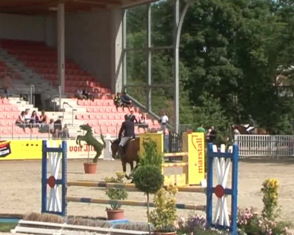 Reitturnier Redefin 2015