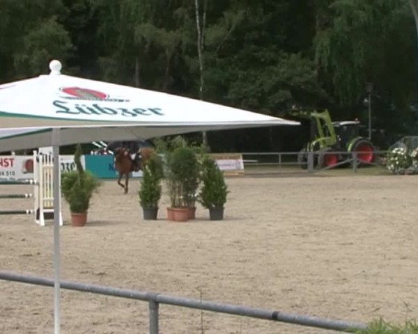 Reitturnier Redefin 2015