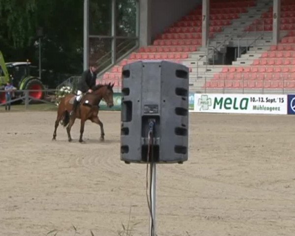 Reitturnier Redefin 2015