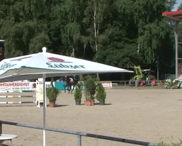 Reitturnier Redefin 2015