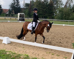 broodmare Blümchen (Welsh-Pony (Section B), 2005, from Bünteeichen-Millennio)