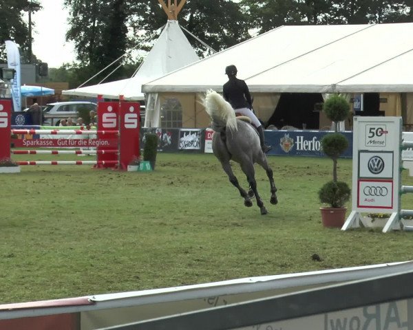 FEI Reitturnier Steinhagen (GER) 2015